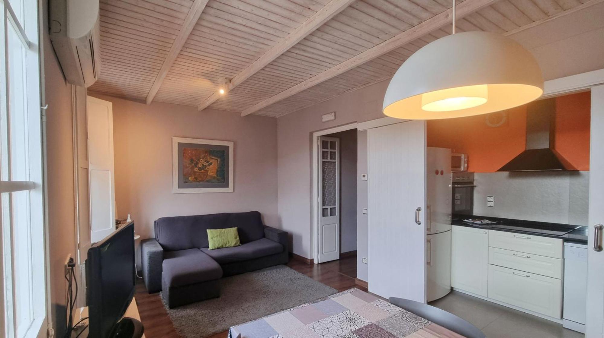 Apartment Sant Francesc Olot Exterior photo
